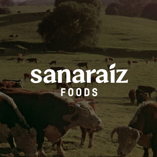 Fast food design with the title 'Brand Identity for Sanariaz'