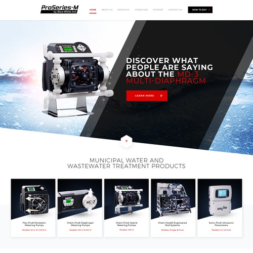 Illustrator website with the title 'ProSeries-M Website design'