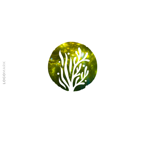 Environmental logo with the title 'The Seaweed Effect '
