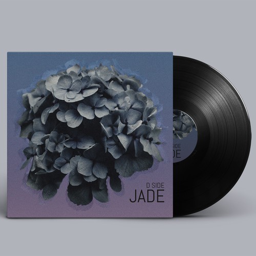 Photography artwork with the title 'Album cover essay'