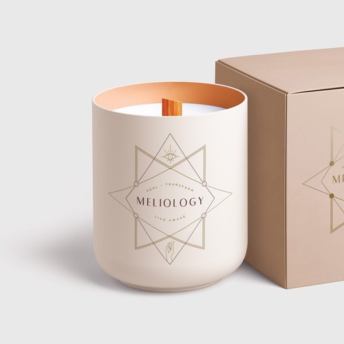 Alternative logo with the title 'Logo for Reiki Healer'