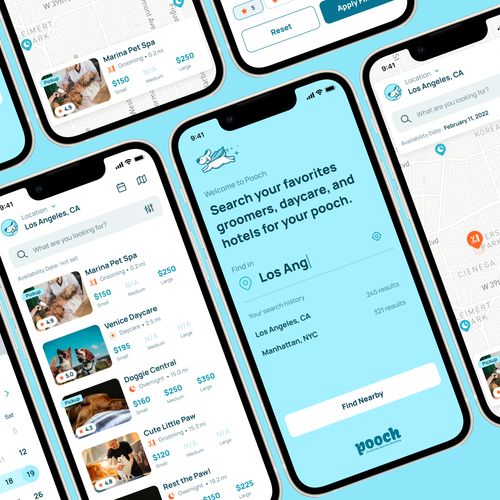Marketplace design with the title 'Pooch App Design'