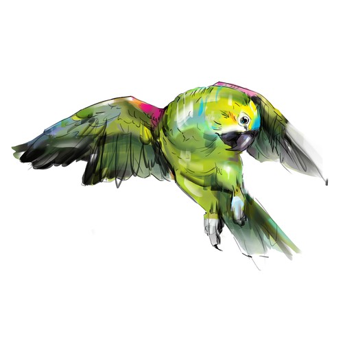 Bird illustration with the title 'Boyfriend needs to wow girlfriend with stunning artists rendering of her Amazon Parrot.'