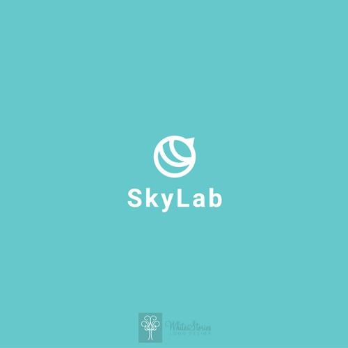 Sky logo with the title 'Clean modern logo'