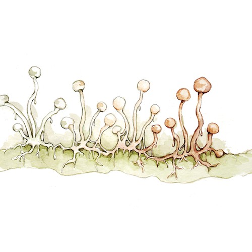 Watercolor artwork with the title 'Sketch Photo or Illustration Contest'