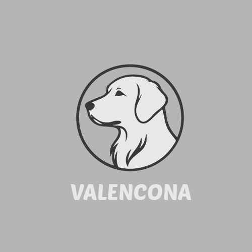 Dog grooming logo with the title 'Valencona Logo Concept – Premium Dog Care'