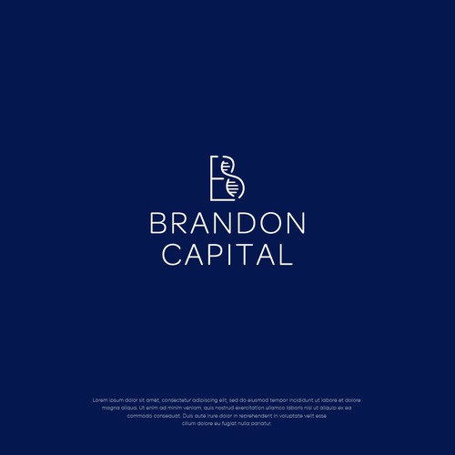 Capital logo with the title 'Bradon Capital'