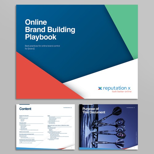 Document design with the title 'Brand Identity for Reputation X'