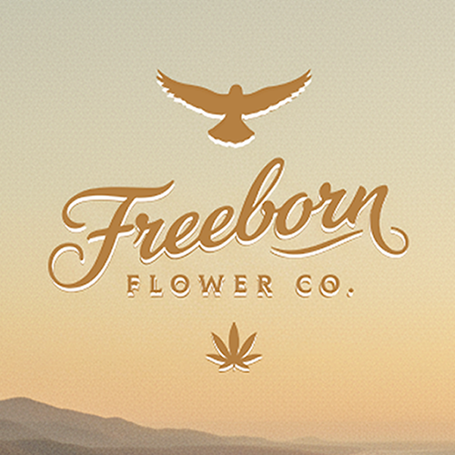 Hippie design with the title 'Freeborn Flower Co. Logo Design Proposal'