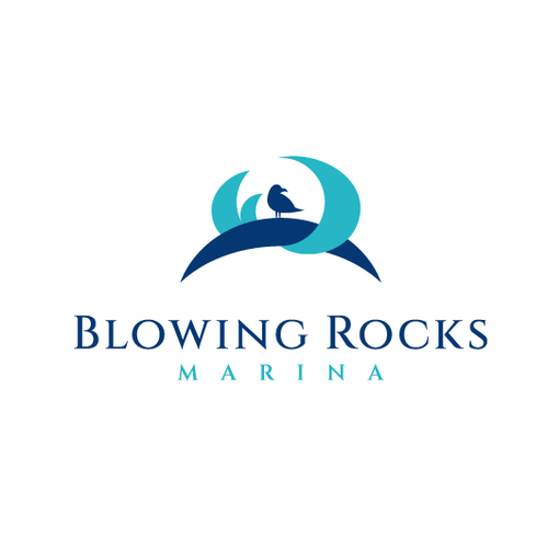 Seagull logo with the title 'Simple and elegant logo for Blowing Rocks Marina'