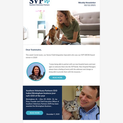 Newsletter design with the title 'Responsive email design for Southern Veterinary Partners'