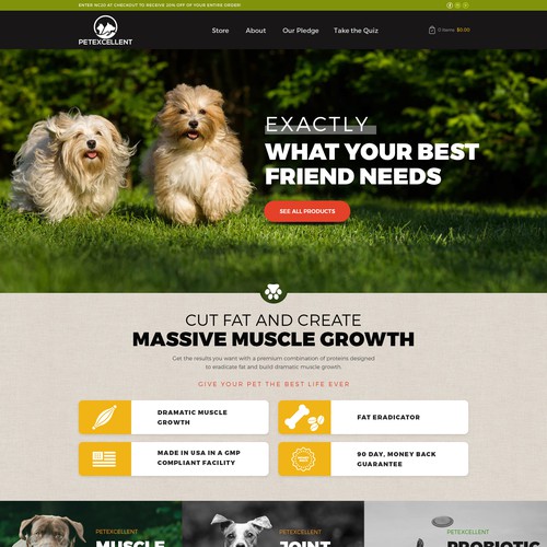 Dog website with the title 'Dog Supplement'