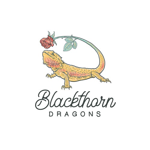 Basil logo with the title 'Blackthorn Dragons'