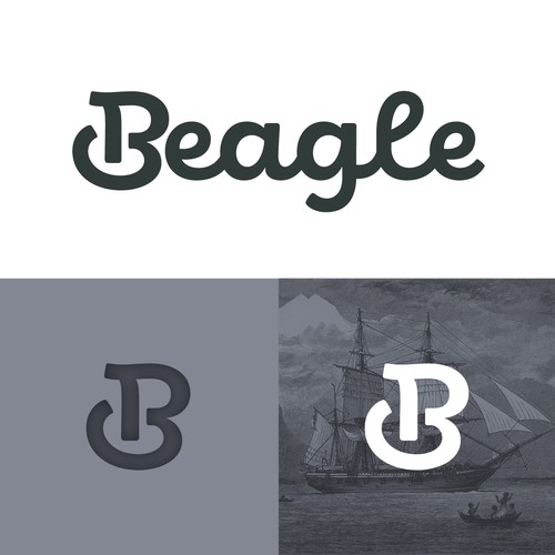 Boat brand with the title 'Fun and bold logo '