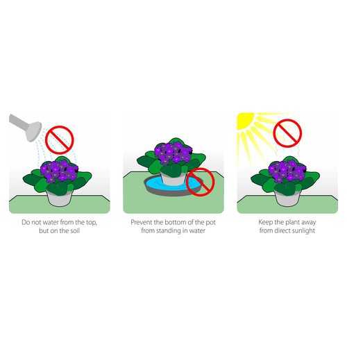 Step-by-step design with the title 'How take care of plants'