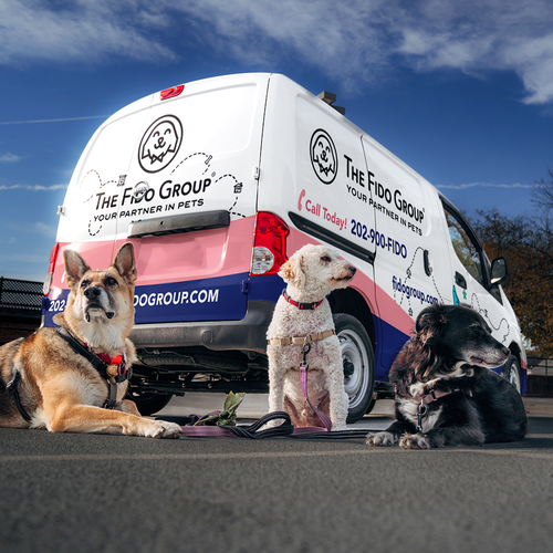 Van design with the title 'Wrap Design for The Fido Group'