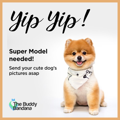 Cute dog design with the title 'Instagram ad for The Buddy Bandana'