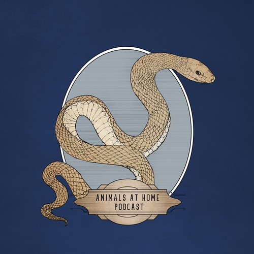Snake t-shirt with the title 'Illustration serpent vintage'