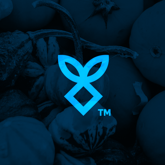 High design with the title 'modern logo for a high technology web based accounting system'