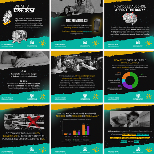 Chart design with the title 'S.O.L. Youth (Support, Outreach, & Leadership for Youth)'