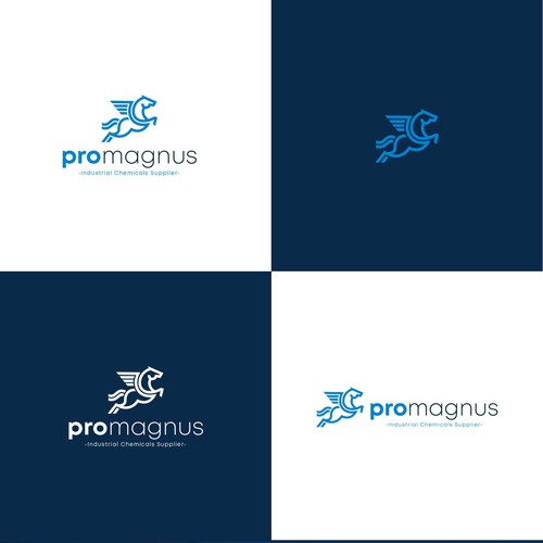 Flying design with the title 'promagnus'