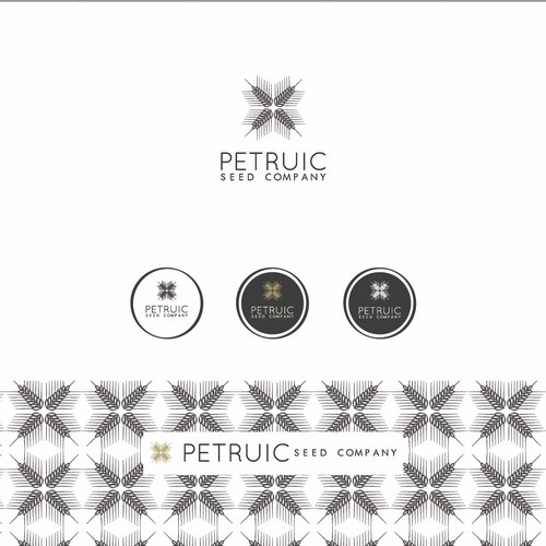 Grain logo with the title 'Petruic - Logo for a family company'