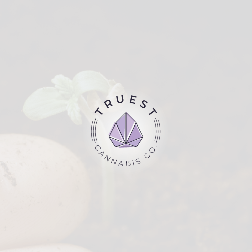 Indoor design with the title 'Modern logo for cannabis growing brand'