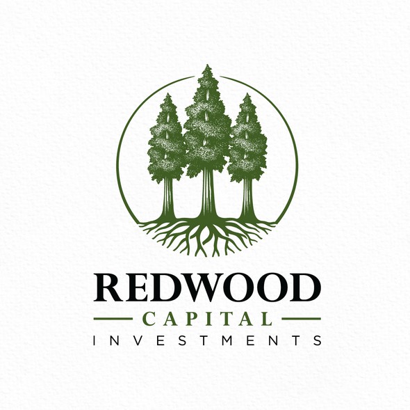 Timber logo with the title 'Redwood Tree Forest Logo'