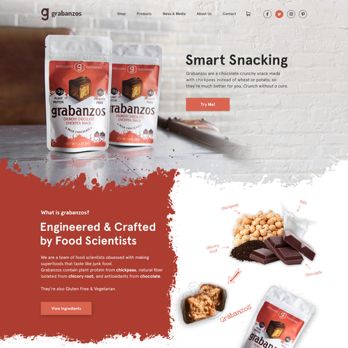 Food website with the title 'Web design concept '
