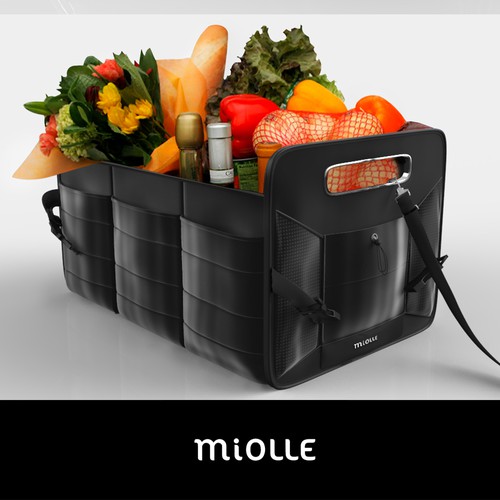 Organization design with the title 'Model of the bag, concept for car organization. '