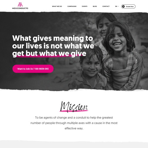 Pink website with the title 'Website home page'