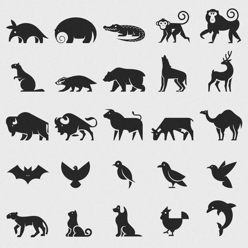 Pictogram design with the title 'animal glyphs'