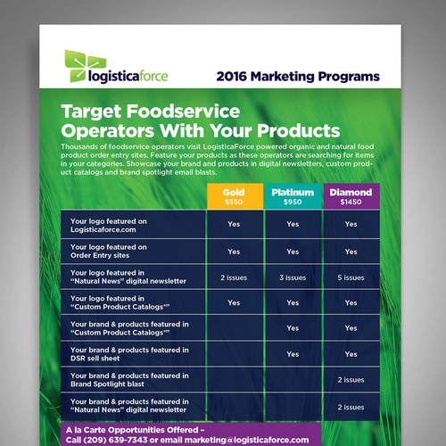 Program design with the title '2016 Marketing Programs Flyer'