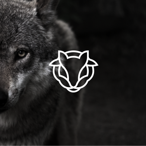 Sheep logo with the title 'wolf in sheep's clothing'
