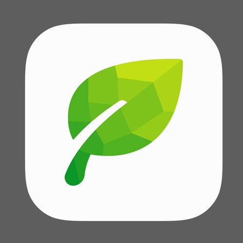 Polygonal design with the title 'Evergreen'