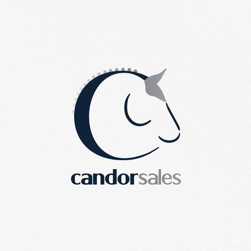 Horse riding logo with the title 'Winning Logo for Candor Sales'