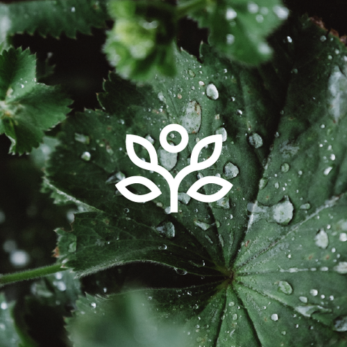 Medic logo with the title 'HealthMoves'