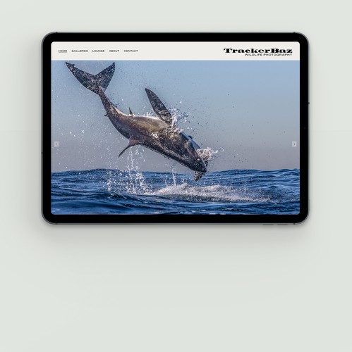 Shark design with the title 'Wildlife Photographer TrackerBaz. Sweden.'
