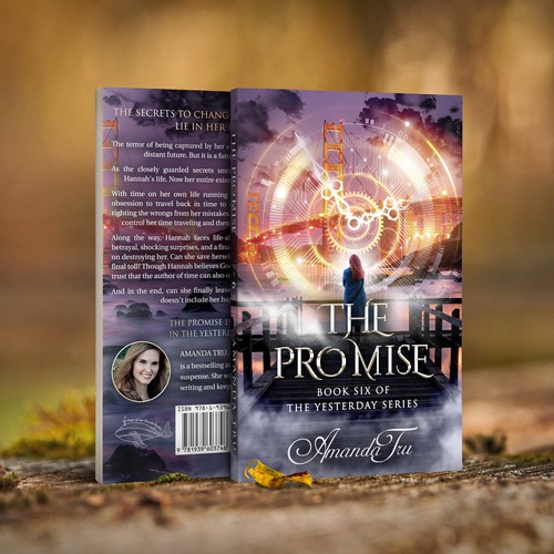 Time travel book cover with the title 'The Promise'