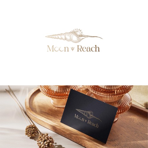 Shell design with the title 'Luxury villa in Barbados'