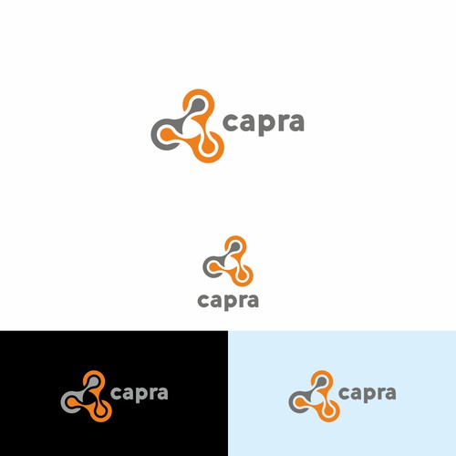 System design with the title 'capra'