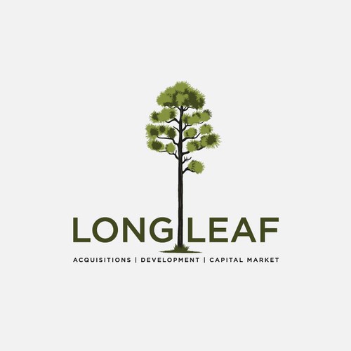 Pine tree design with the title 'LONG LEAF PINE TREE FOR REAL ESTATE COMPANIES'