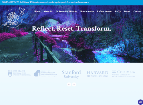 Soul design with the title 'Web design & development, animations, Wordpress permium website for Softrebootwellness by Hiroshy'