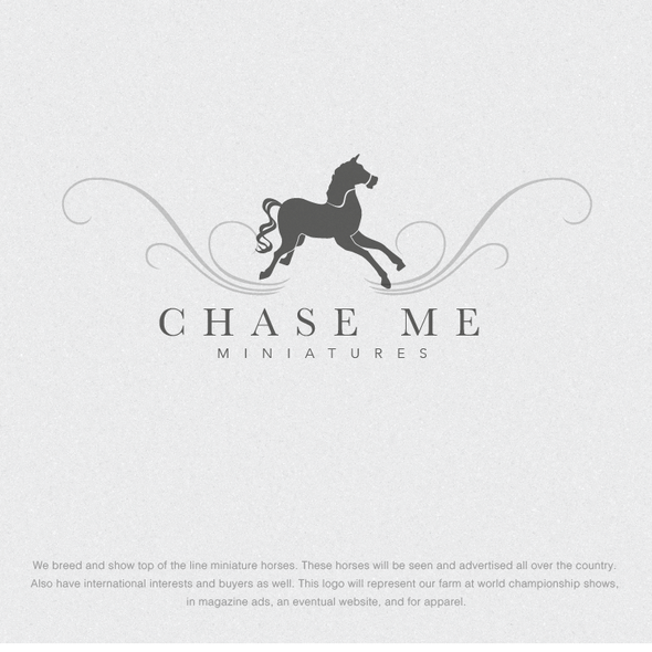 Pony logo with the title 'Catch Me Miniatures'