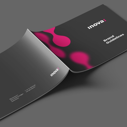 Font design with the title 'Detailed Brand Guide for software provider'