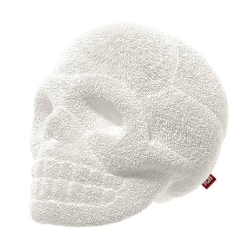 Skull illustration with the title 'Fashion brand identity'