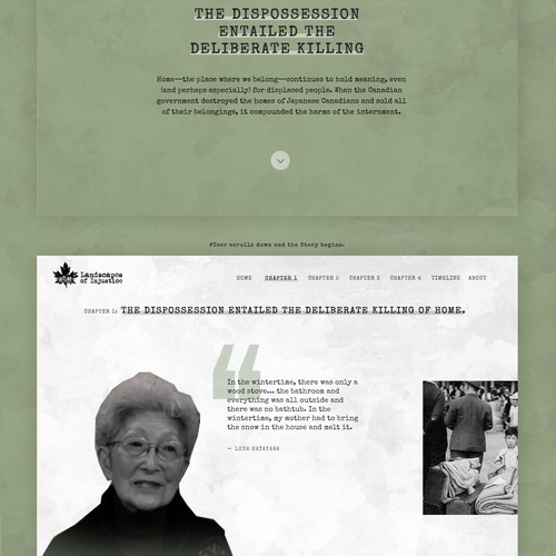 Textured design with the title 'Historical website'