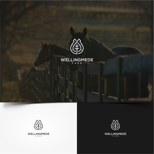 Shoe logo with the title 'Horses Farm'