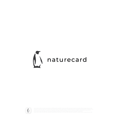 Fintech logo with the title 'naturecard Logo Concept'