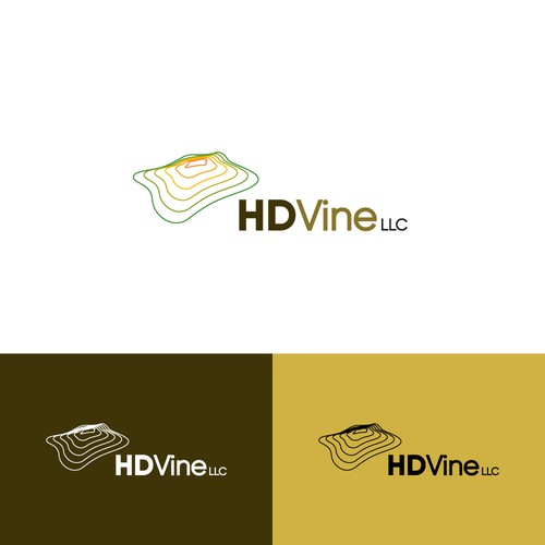 Elevation design with the title 'Logo Concept for "HDVine LLC"'